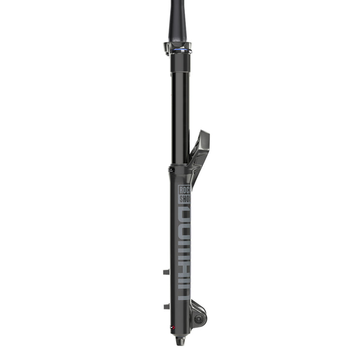 2023 RockShox Domain RC Fork